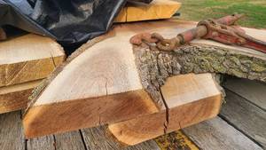 Black Walnut Wood Slab