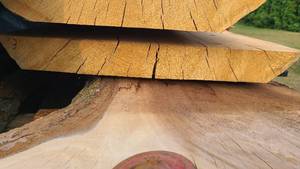 Oak Wood Slab