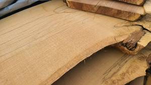 Oak Wood Slab