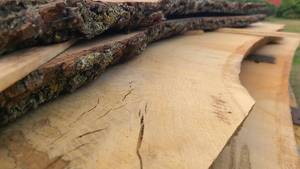 Black Walnut Wood Slab