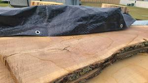Black Walnut Wood Slab