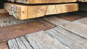 Oak Wood Slab