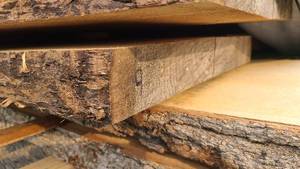 Black Walnut Wood Slab