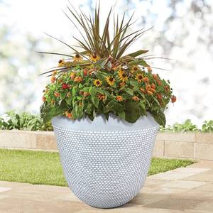 lot 29 image: 22 HDR Southern Patio Planter