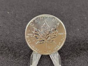1oz .9999 Fine Silver Canadian Maple Coin - 2013 Issue