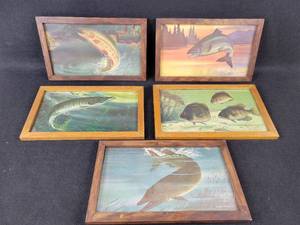 lot 1046 image: (5) Vintage Framed Roger Preuss Litho Fish Prints