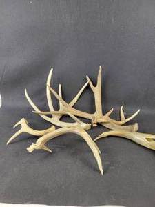 lot 986 image: Carved Wolf in Deer Antler, Bird Horn Art and Deer Antlers