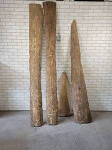 lot 633 image: (4) Wood Slabs - NO SHIPPING