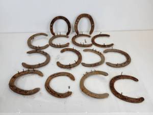 lot 73 image: Lot of (14) Horseshoes - Many with Nails