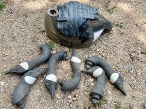 lot 13 image: Lot of 6 Floating Canada Goose Hunting Decoys
