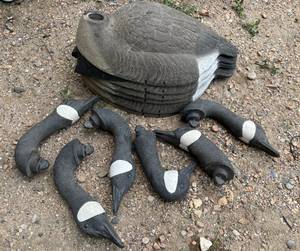 lot 14 image: Lot of 6 Floating Canada Goose 22 Hunting Decoys