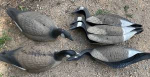 lot 16 image: Lot of 6 Floating Canada Goose Hunting Decoys