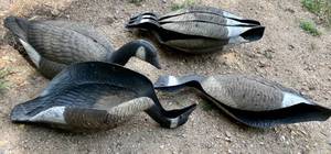 lot 17 image: Lot of 6 Floating Canada Goose Hunting Decoys 