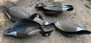 lot 18 image: Lot of 6 Floating Canada Goose Hunting Decoys