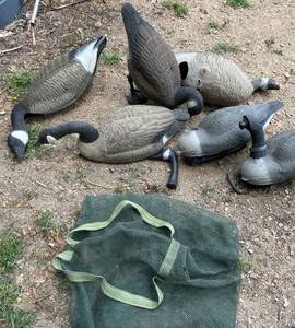 lot 22 image: Various Canada Goose Hunting Decoys with Bag -&nbspSome Missing Parts