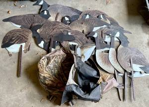 lot 23 image: Large lot of 2D Canada Goose Decoys with Carrying Bag