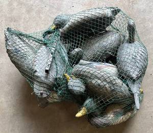 lot 5 image: Lot of 9 Duck Hunting Decoys with Bag ( 8 Mallard 1 Pintail )