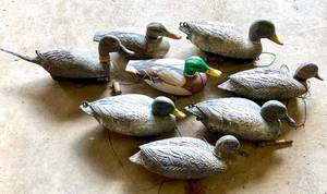 lot 7 image: Lot of 8 Duck Hunting Decoys ( 7 Mallard 1 Pintail )