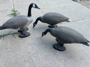 lot 159 image: Lot of 3 Canada Goose Hunting Decoys