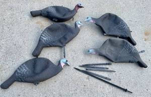 lot 160 image: Lot of 5 Wild Turkey Hunting Decoys