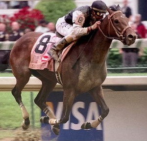 lot 19 image: Mine That Bird Framed Horse Racing Photograph