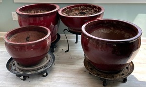 lot 22 image: Four Decorative Matching Planters