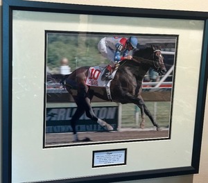 lot 133 image: Framed Cigar Racing Horse Photograph