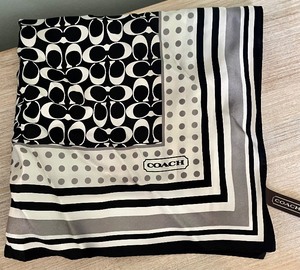 lot 366 image: Coach Scarf and Anne Klein Heeled Shoes