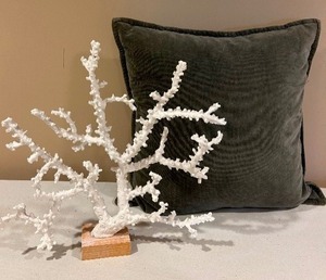lot 176 image: Sea Themed Throw Pillows & Coral Decor
