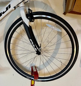 lot 107 image: Fuji Absolute Bike