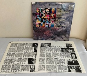 lot 73D image: Lynrd Skynyrd Record Album