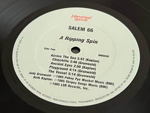 lot 73B image: Salem 66 Homestead A Ripping Spin Record Album