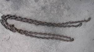 lot 135 image: Heavy duty logging chain 25ft