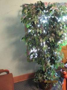 lot 151 image: 6ft faux tree in basket