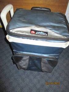 lot 229 image: Igloo Maxcold soft sided cooler