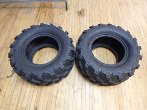 lot 19 image: 2 Polaris Extreme Tires
