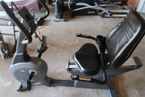 lot 55 image: RECUMBENT EXERCISE BIKE.