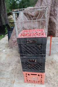 lot 69 image: CRATES