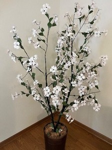 lot 24 image: Cherry Blossom Faux Plant