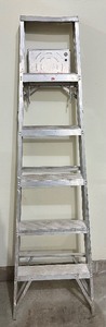 lot 324 image: 6 Aluminum Ladder
