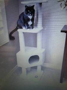 Majestic Pet Bungalow 52 3-Tier Ca...