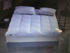 Beautyrest 100% Cotton 3 Featherbe...
