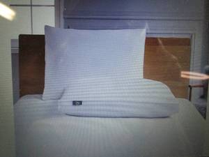 Serta White Goose Feather And Down ...