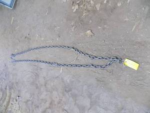 lot 444 image: 12 Log Chain with hooks