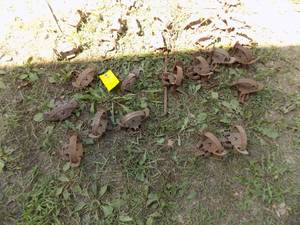 lot 460 image: 27 Traps  1 12 Vic