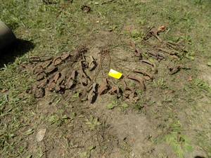 lot 461 image: 26 Vintage Long Spring Traps No 21 Diamond Brand