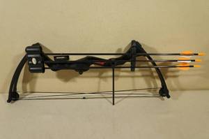 lot 59 image: Bear Brave II Youth Compound Bow with Quiver and Arrows - 25# Draw