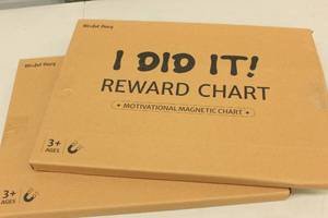 lot 79 image: 2ct Blissful Diary I Did It Reward Chart Motivational Magnetic Chart