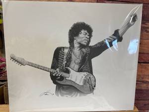 Jimi Hendrix Art 20x24