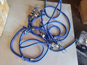 lot 136 image: Lot of 6 - 72 x 12 Elastic Cords